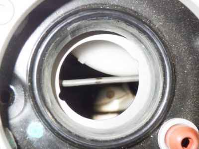 Triumph Trident 660 2024