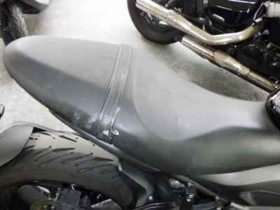 Triumph Trident 660 2024