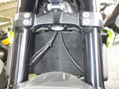 Triumph Trident 660 2024