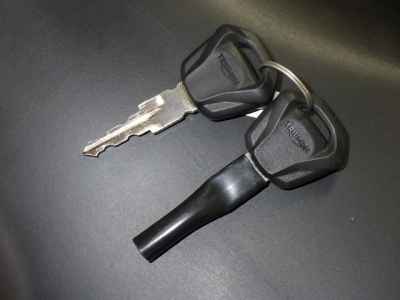 Triumph Trident 660 2024