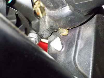 Triumph Trident 660 2024