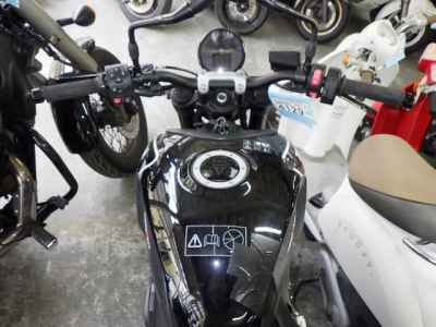 Triumph Trident 660 2024