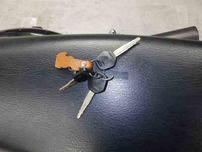 Suzuki GrassTracker Bigboy