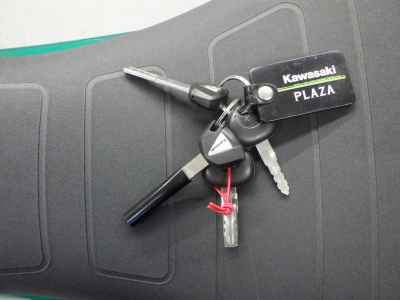 Kawasaki Z650RS 2023