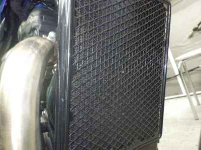 Triumph Speed 400 2024