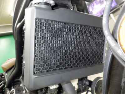 Honda Rebel S CMX250 2022