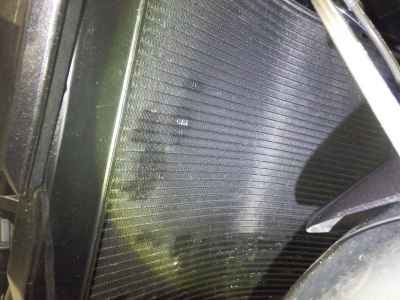 Triumph Street Triple 765 2024