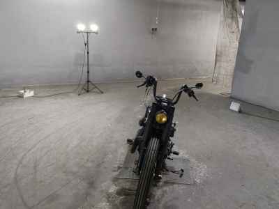 Harley-Davidson Sportster Iron XL883N 2010