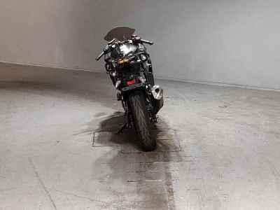 Kawasaki Ninja 250 2019