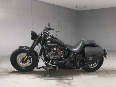 Harley-Davidson HARELY FLSS1800 2016