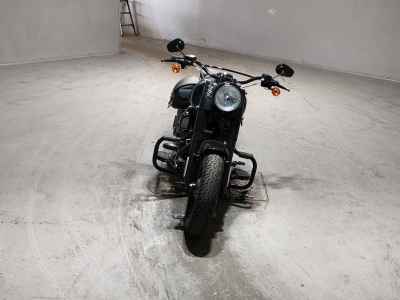 Harley-Davidson HARELY FLSS1800 2016