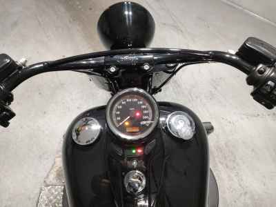 Harley-Davidson HARELY FLSS1800 2016