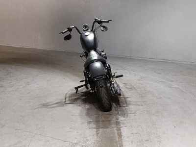 Harley-Davidson Sportster Iron XL883N 2010