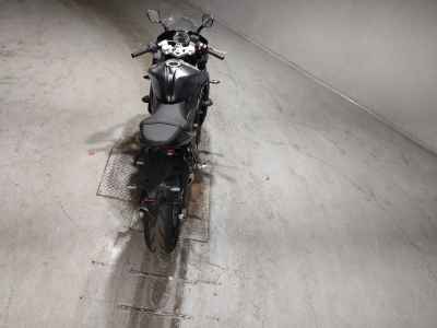 Triumph Daytona 660 2024