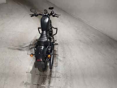 Harley-Davidson Sportster Iron XL883N 2019