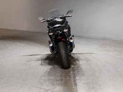 Kawasaki Ninja 1000 2018