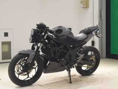 Kawasaki Ninja 250 2015