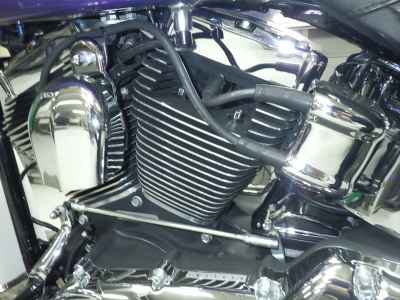 Harley-Davidson Deluxe FLSTN1580 2010
