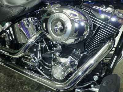 Harley-Davidson Deluxe FLSTN1580 2010