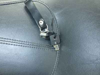 Harley-Davidson Deluxe FLSTN1580 2010