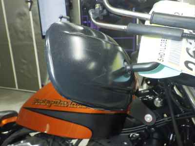 Harley-Davidson Sportster Forty-Eight XL1200X 2019