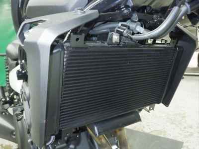 Kawasaki Eliminator 400 SE 2025