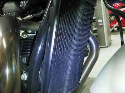 Triumph Speed Twin 1200 2021