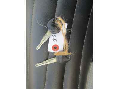 Suzuki GrassTracker Bigboy