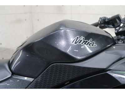 Kawasaki Ninja 250 2016