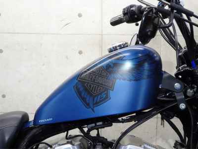 Harley-Davidson Sportster Forty-Eight XL1200X 2018