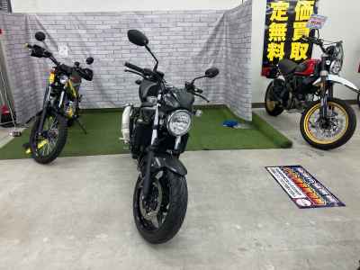 Suzuki SV650 2021