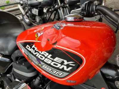 Harley-Davidson Sportster XL883R 2009