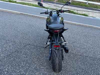 Triumph Tiger 800 2026
