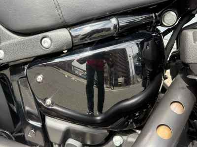 Harley-Davidson Low Rider ST FXLRST1920 2024