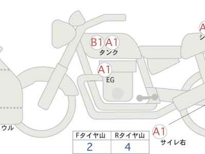 Kawasaki Ninja 1000SX 2024