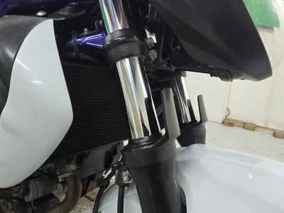 Suzuki Gladius SFV400 2010