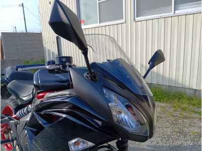 Kawasaki Ninja 400 2014