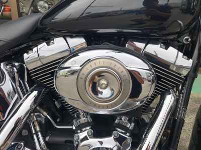 Harley-Davidson FLSTN1580 2014