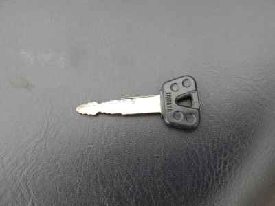 Yamaha XVS250 Drag Star