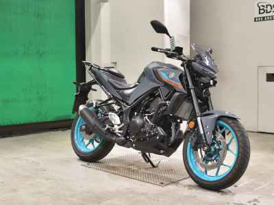 Yamaha MT-25