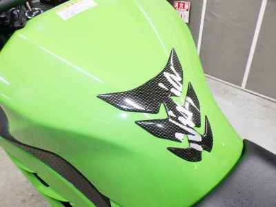 Kawasaki Ninja 250 2014