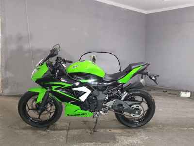 Kawasaki Ninja 250 2015