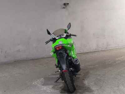 Kawasaki Ninja 250R 2008