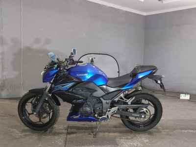 Kawasaki Z250 2015