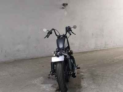 Harley-Davidson Sportster Iron XL883N 2010