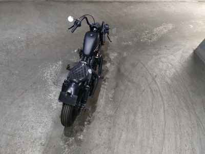 Harley-Davidson Sportster Iron XL883N 2010