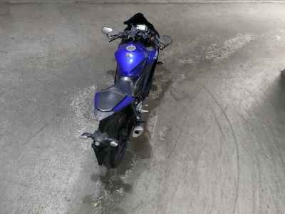 Yamaha YZF-R25