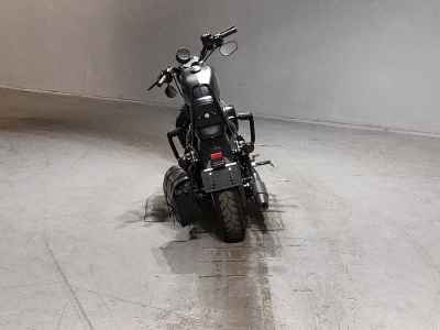 Harley-Davidson Sportster Iron XL883N