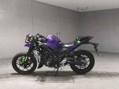 Yamaha YZF-R25