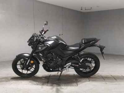 Yamaha MT-25